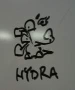 hydra-whiteboard.jpg
