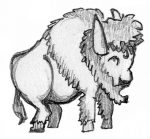 normal-buffalo.png